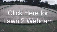 WebCam lawn 2