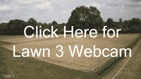 WebCam lawn 3